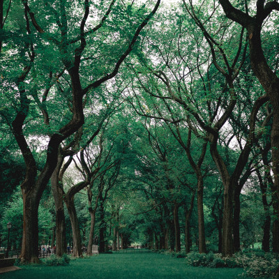 The Benefit of living in nature | simple life